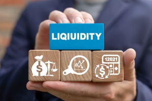Liquidity and Profitability Concept in Fixed Annuity